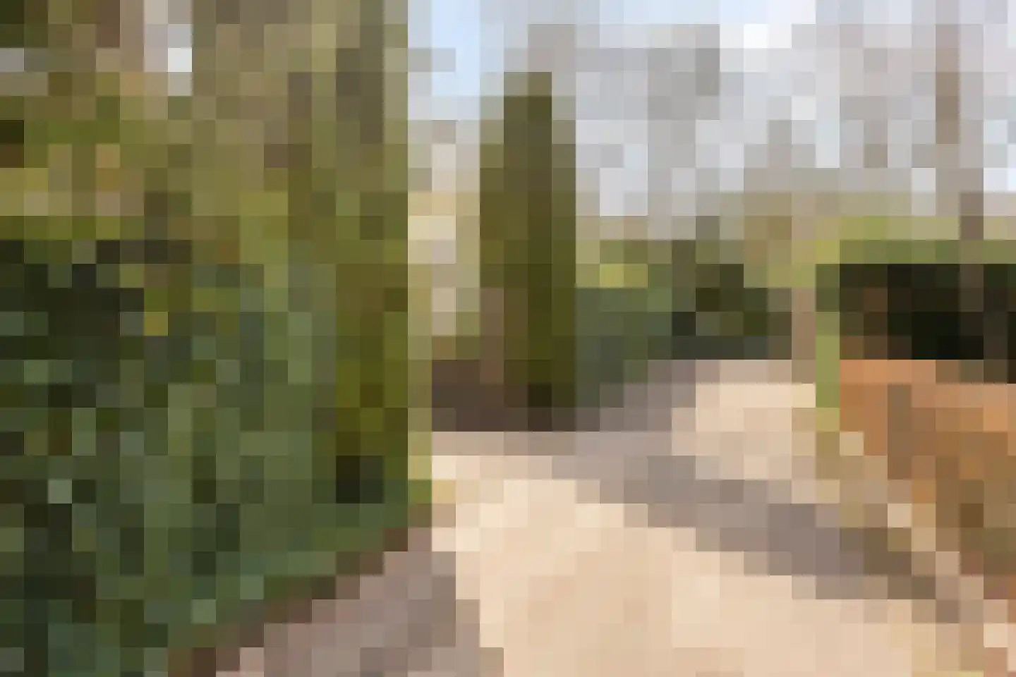 Vianenweg 21 Holten thumbnail 38