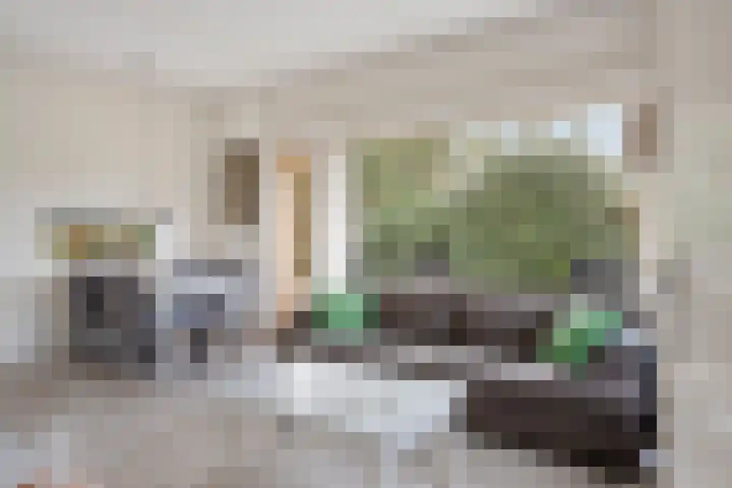 Vianenweg 21 Holten thumbnail 6