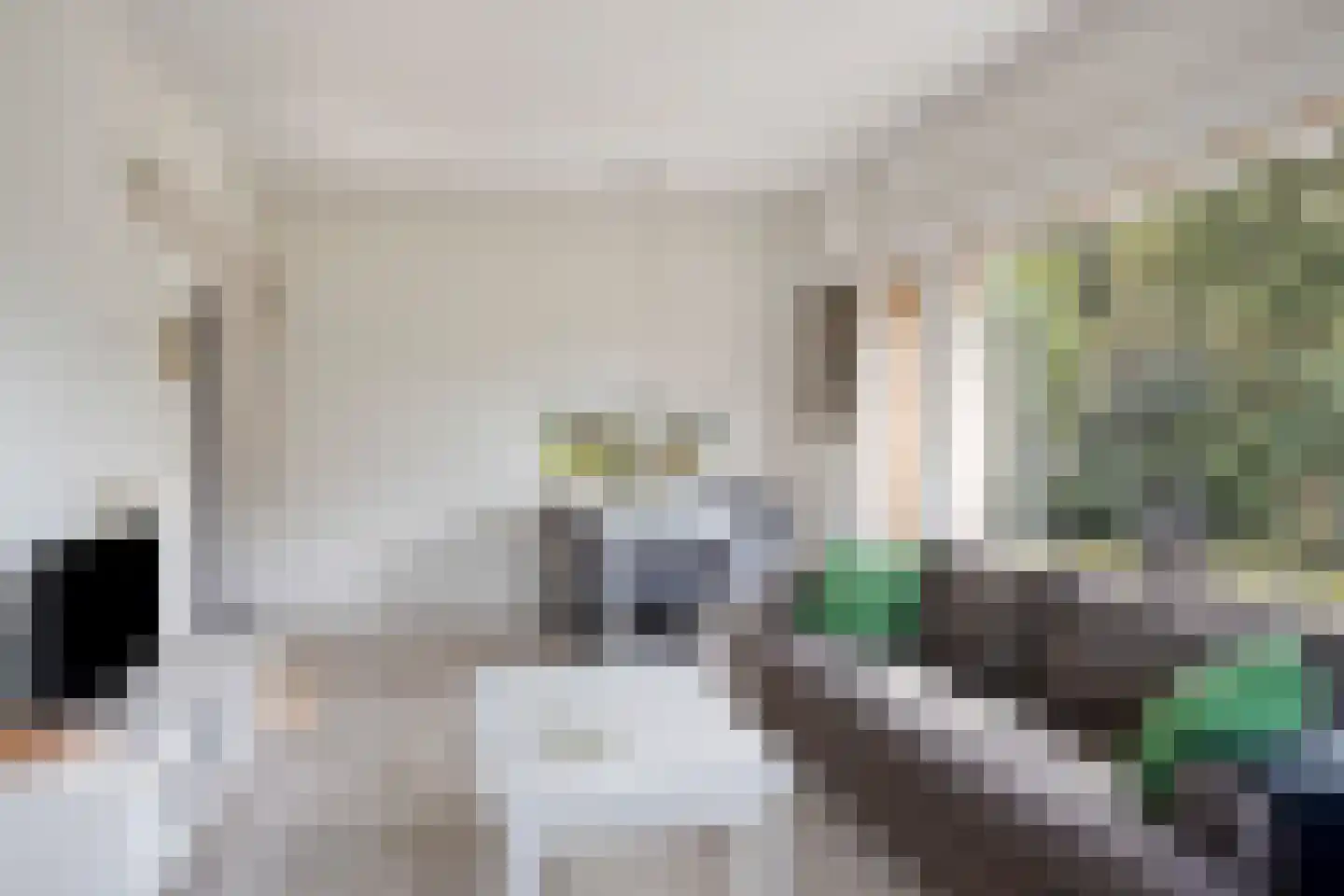 Vianenweg 21 Holten thumbnail 7