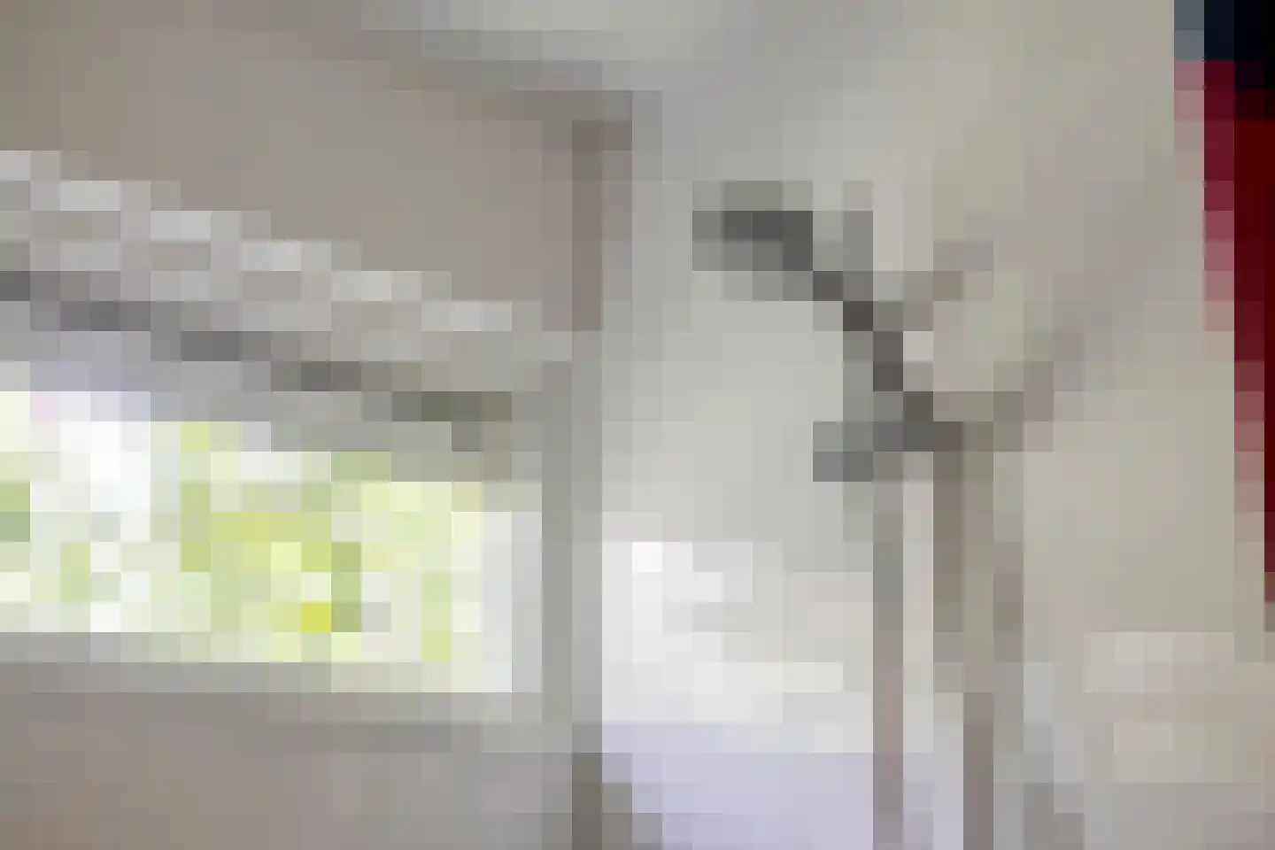 Vianenweg 229 Holten thumbnail 16