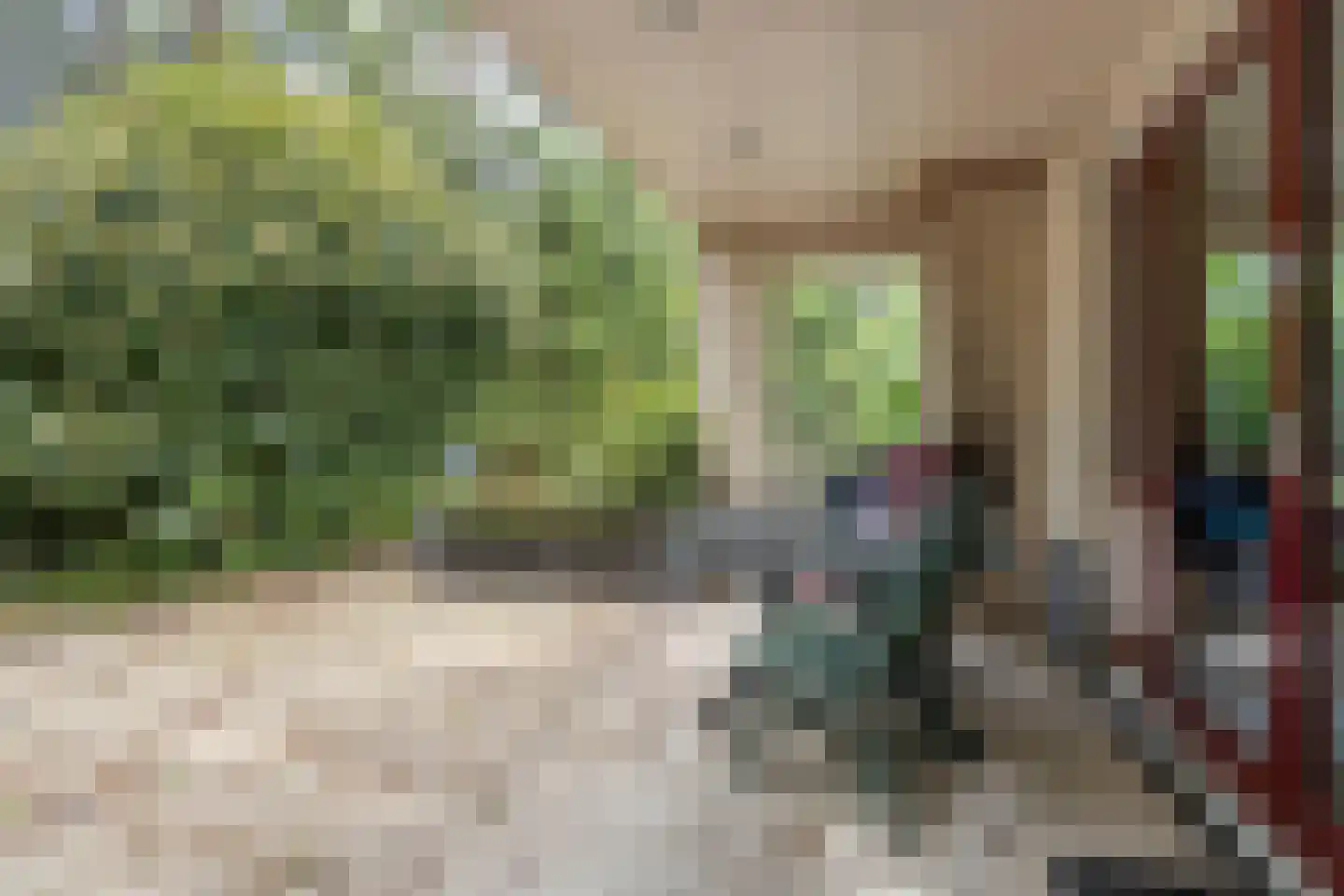 Vianenweg 229 Holten thumbnail 18