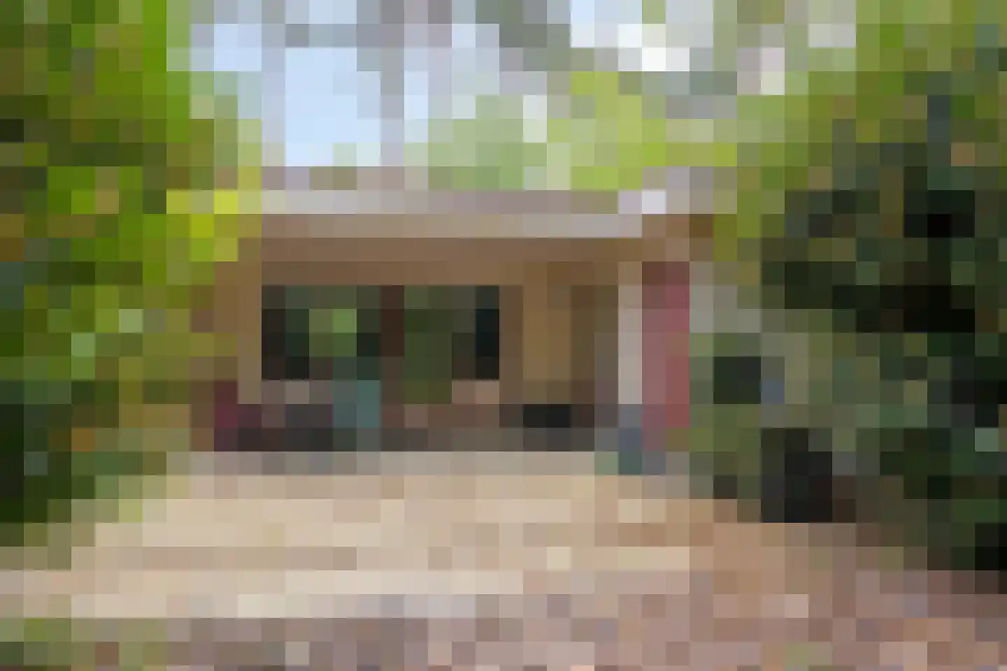 Vianenweg 229 Holten thumbnail 19