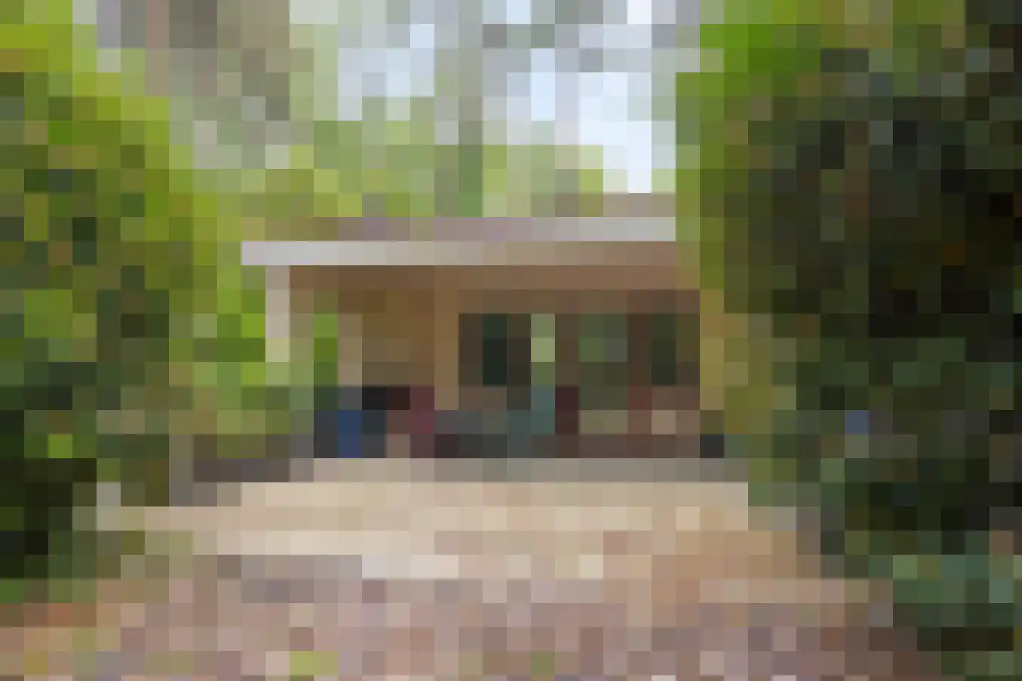 Vianenweg 229 Holten thumbnail 20