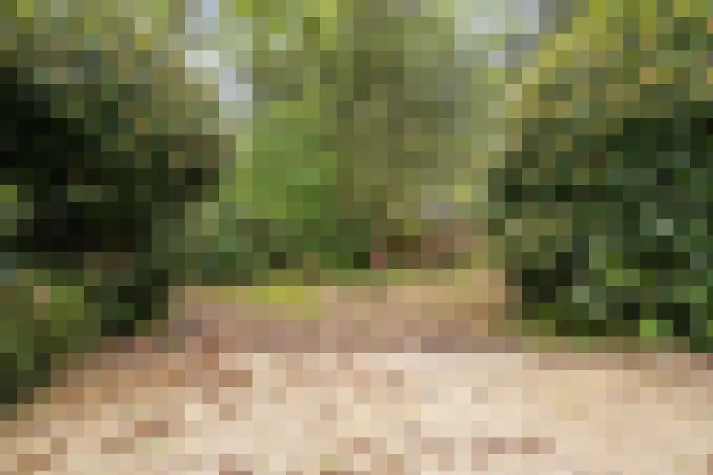 Vianenweg 229 Holten thumbnail 21