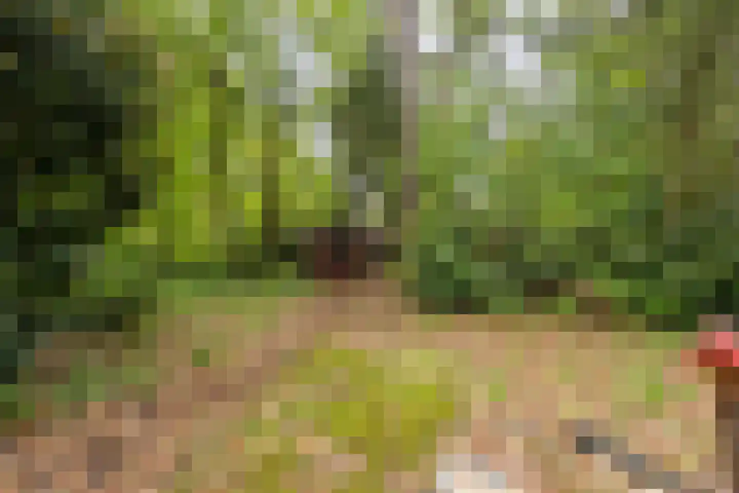 Vianenweg 229 Holten thumbnail 22