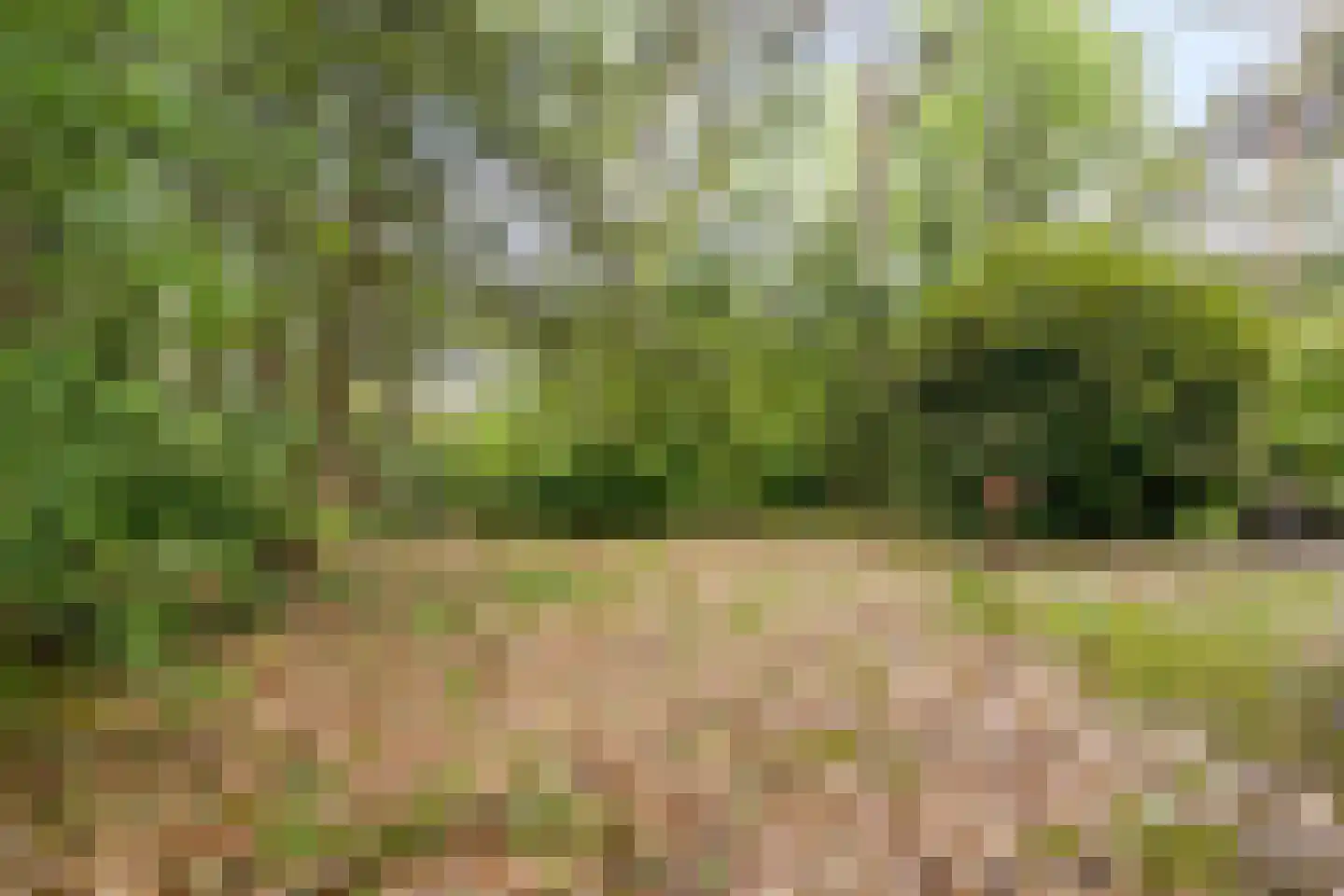Vianenweg 229 Holten thumbnail 24