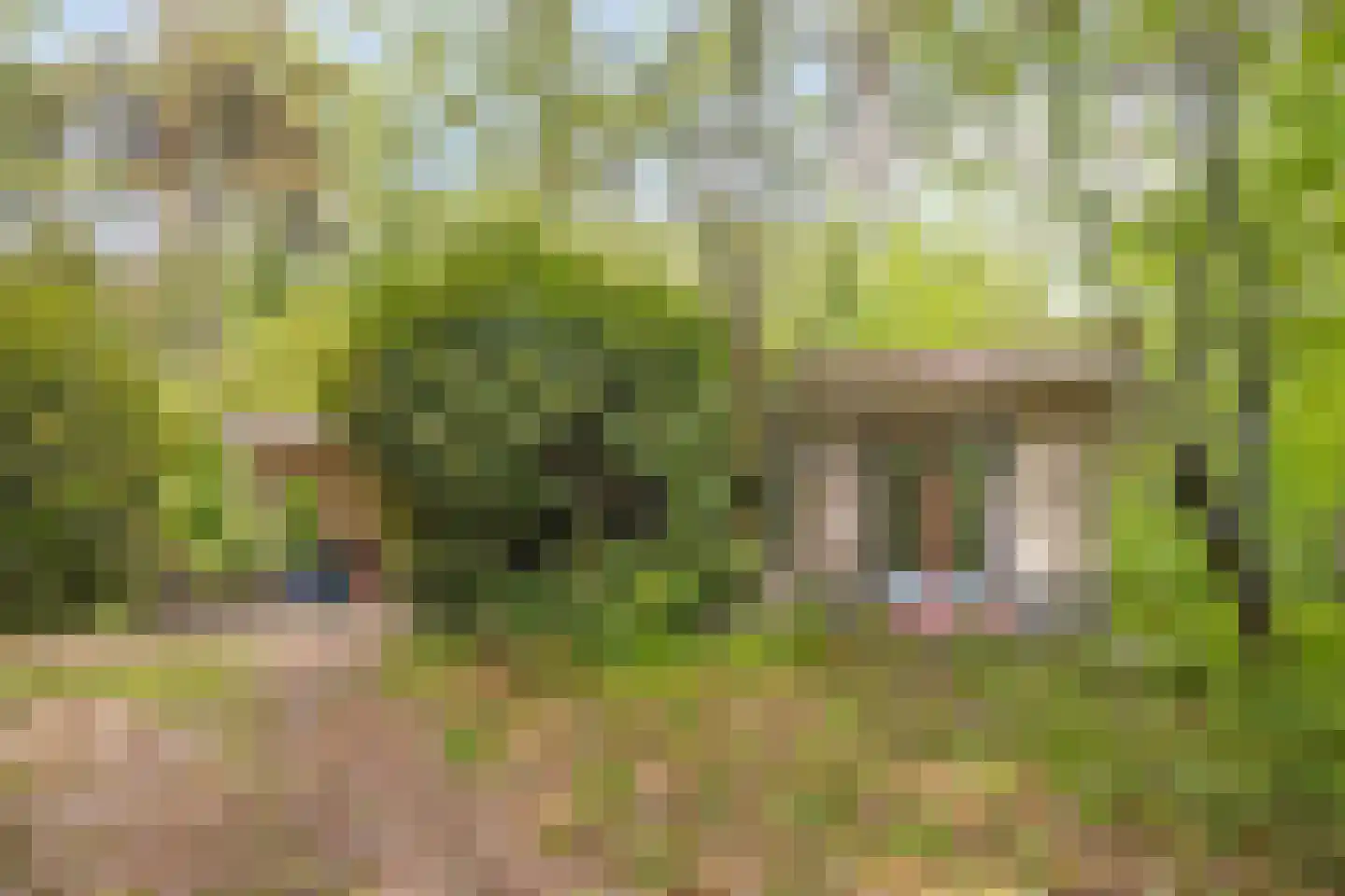 Vianenweg 229 Holten thumbnail 25