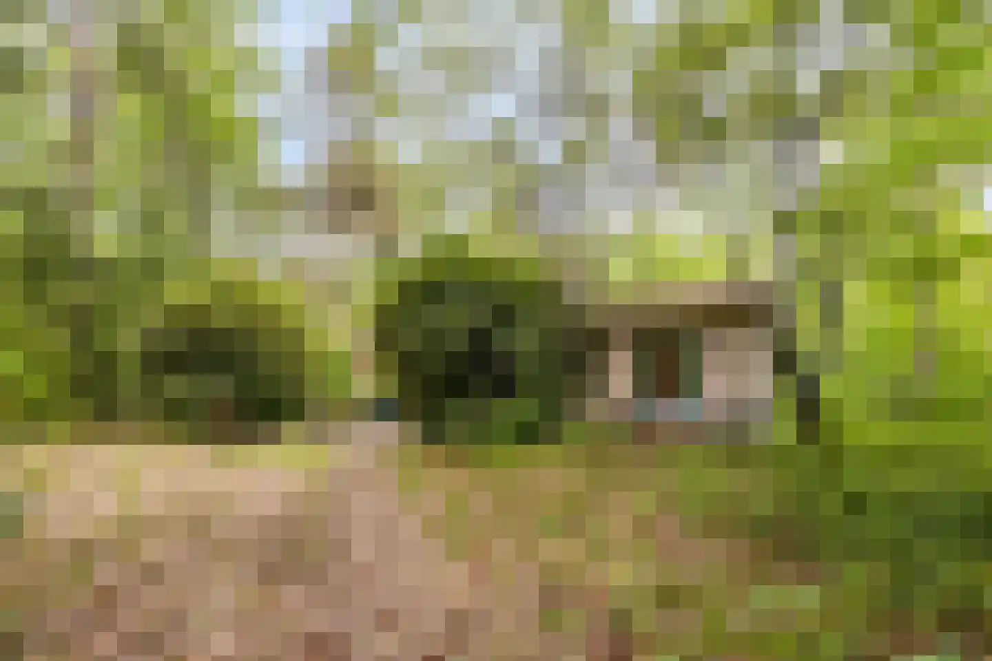 Vianenweg 229 Holten thumbnail 26