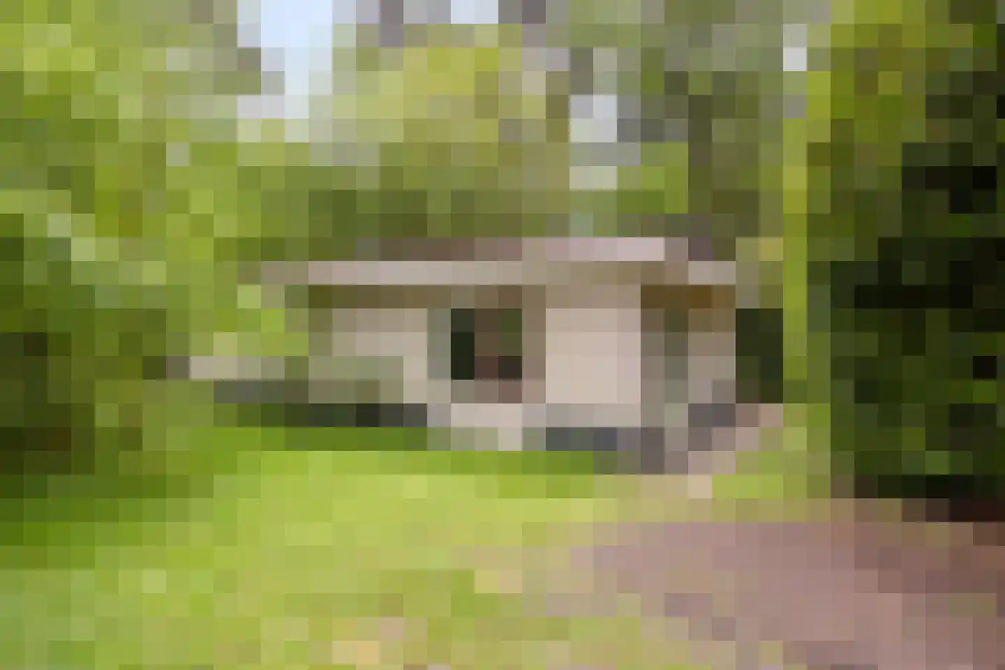 Vianenweg 229 Holten thumbnail 27