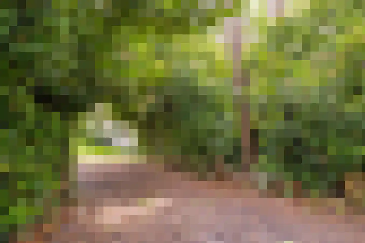 Vianenweg 229 Holten thumbnail 28