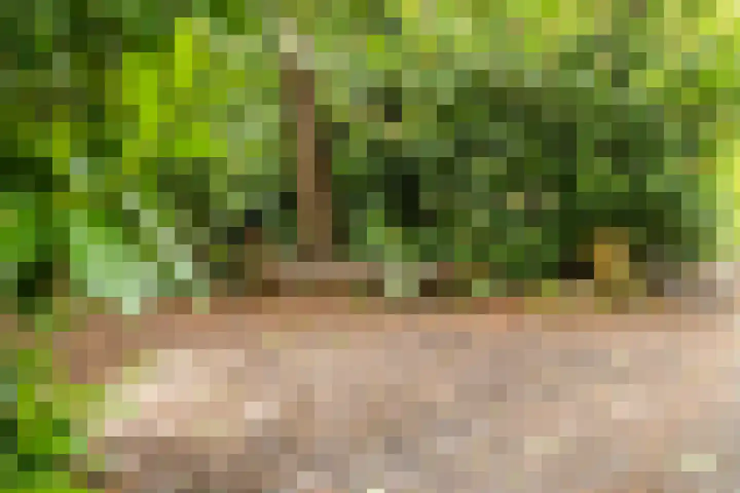 Vianenweg 229 Holten thumbnail 29