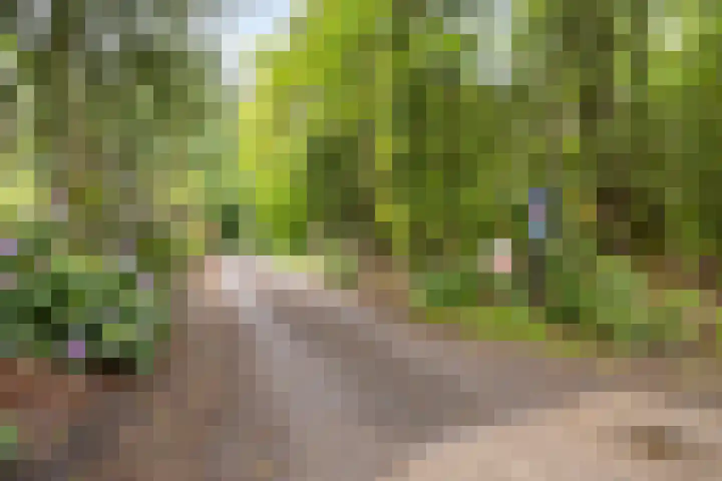 Vianenweg 229 Holten thumbnail 30