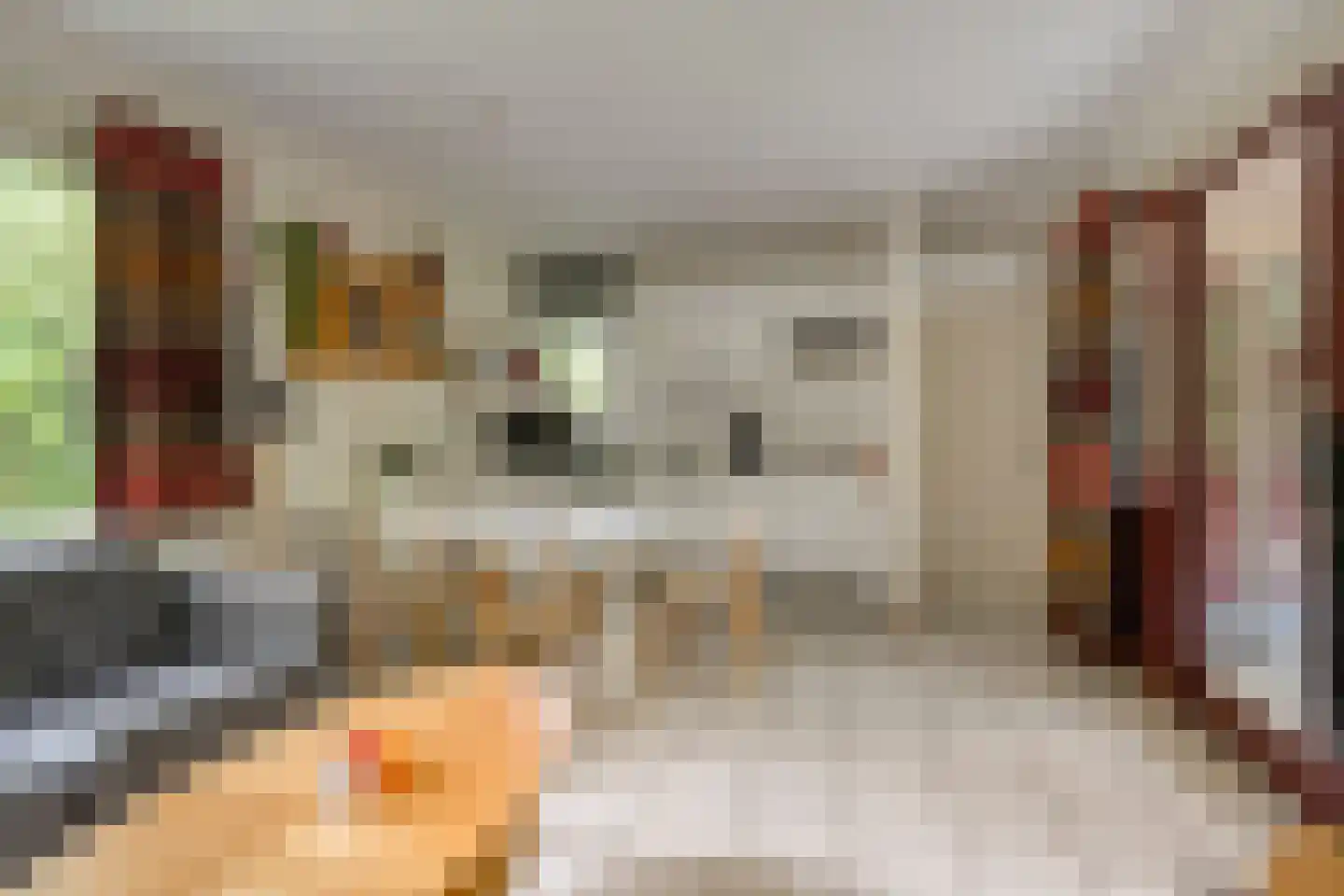 Vianenweg 229 Holten thumbnail 4