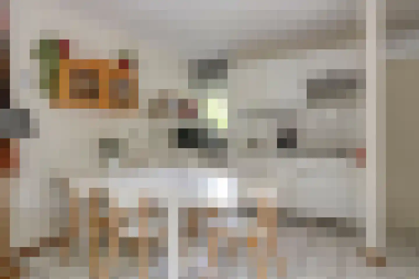 Vianenweg 229 Holten thumbnail 5