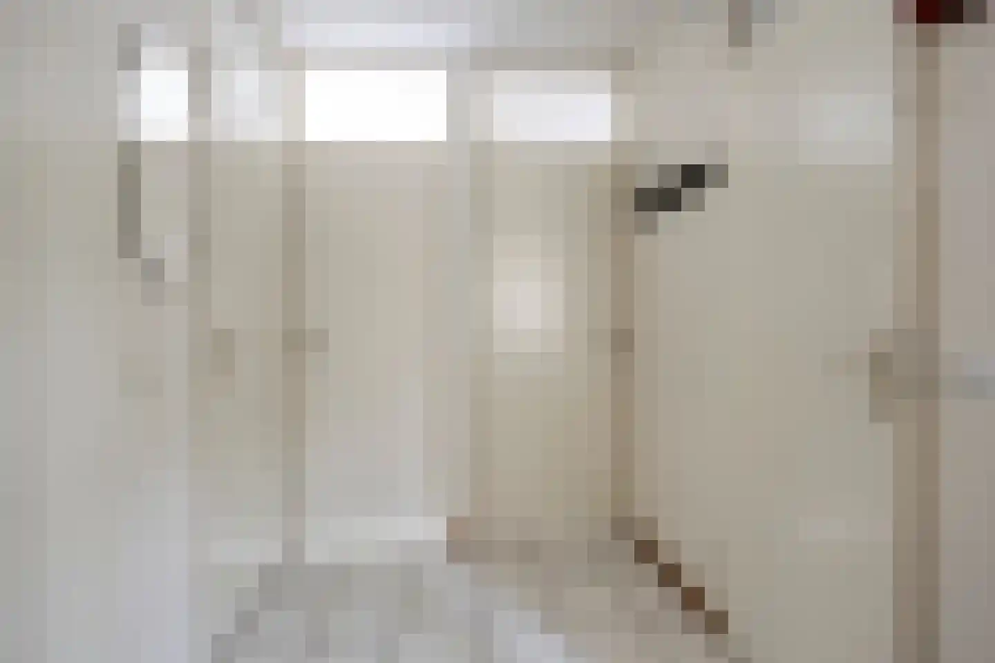 Vianenweg 229 Holten thumbnail 7