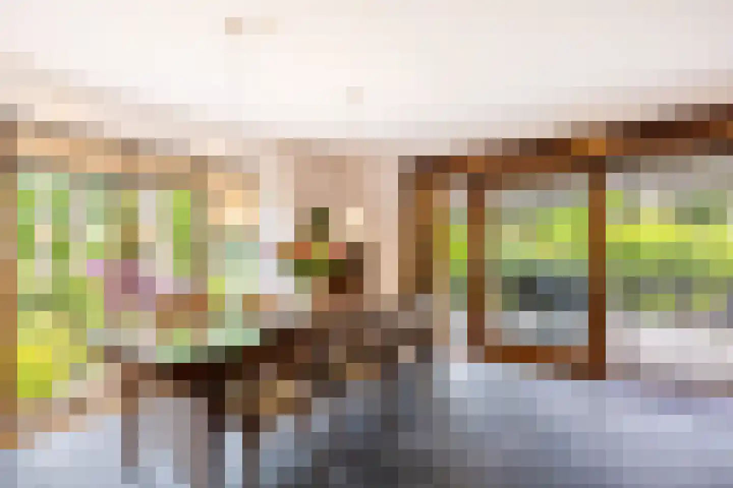 Vianenweg 253 Holten thumbnail 4