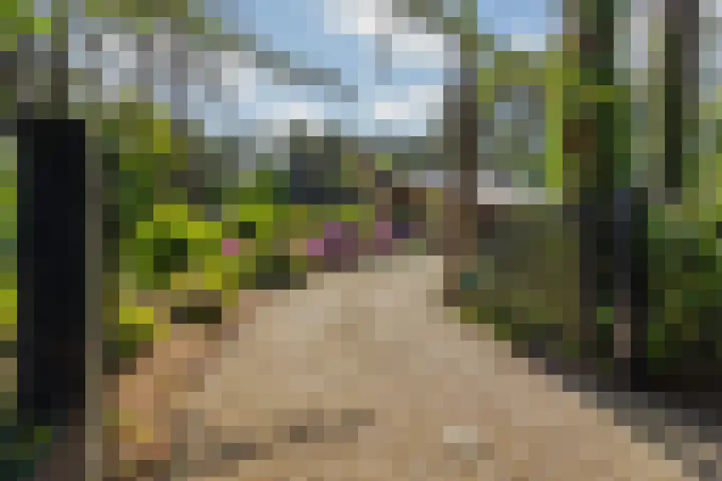 Vianenweg 253 Holten thumbnail 51