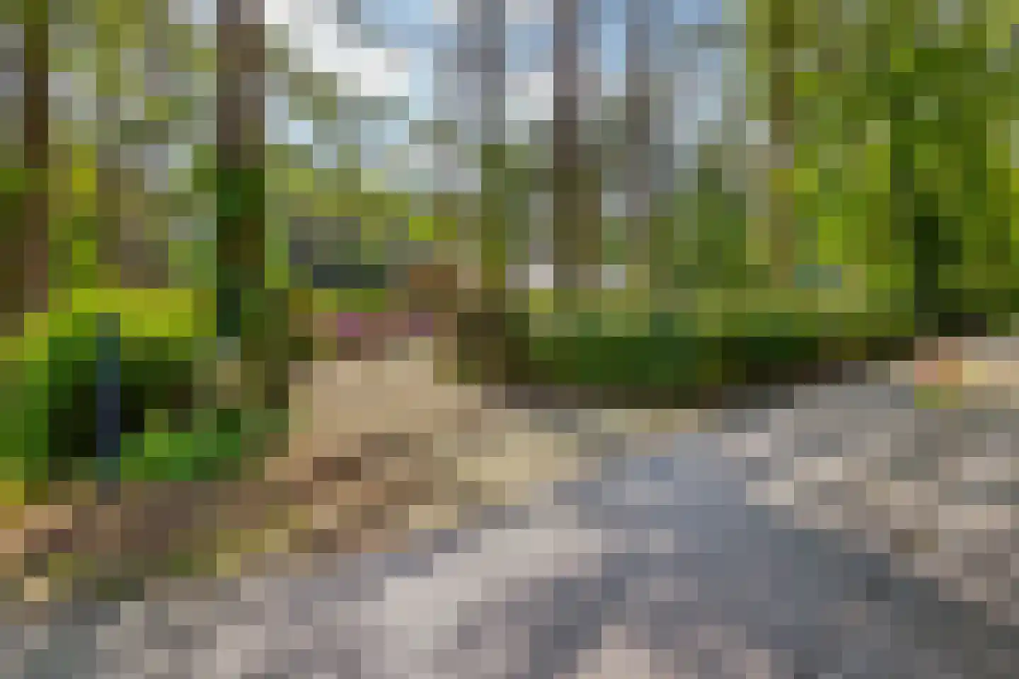 Vianenweg 253 Holten thumbnail 52