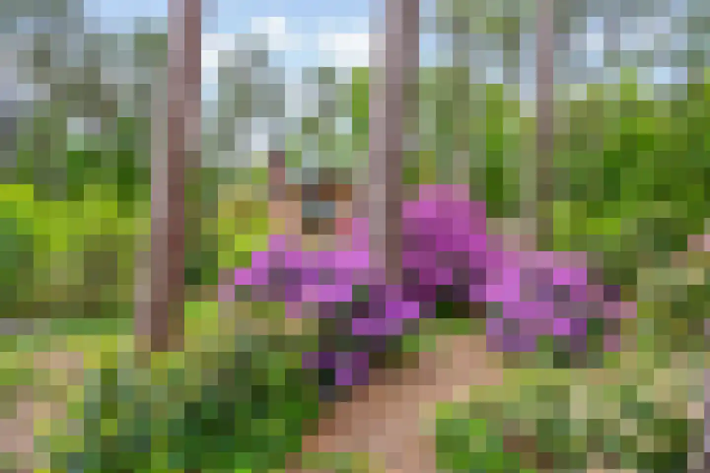Vianenweg 253 Holten thumbnail 55