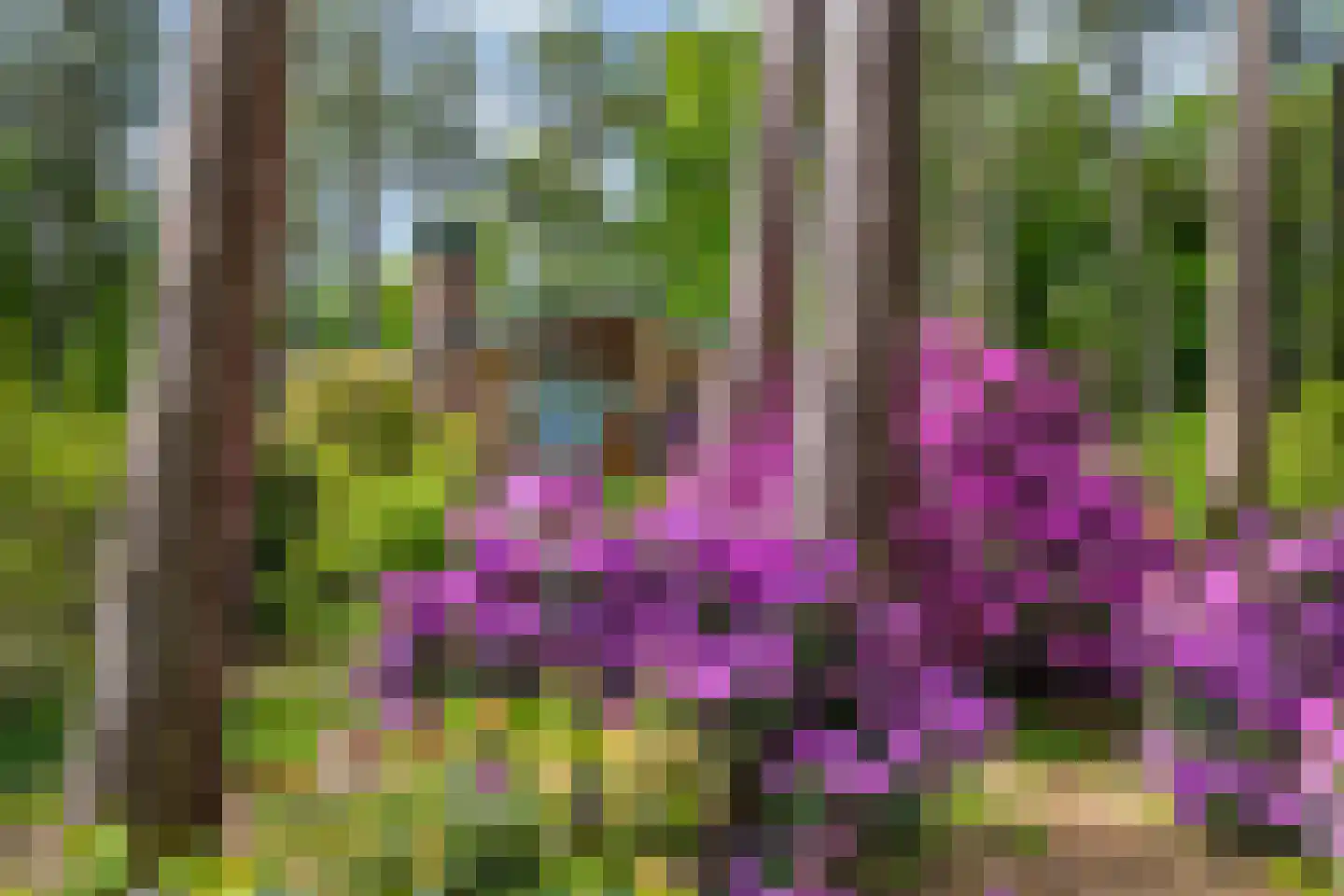 Vianenweg 253 Holten thumbnail 56