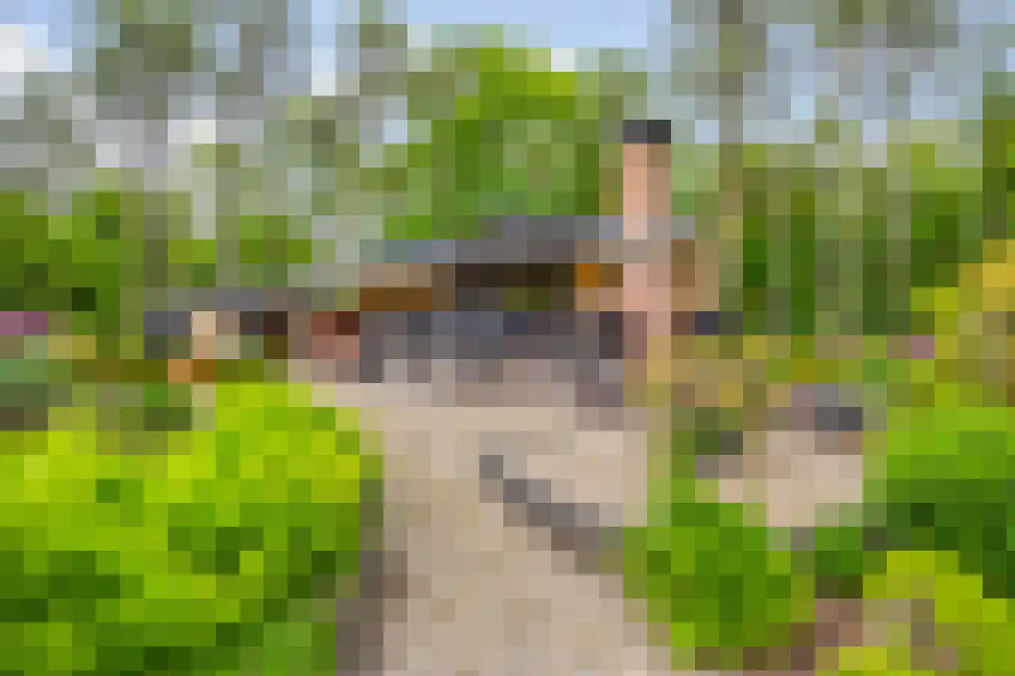 Vianenweg 253 Holten thumbnail 57