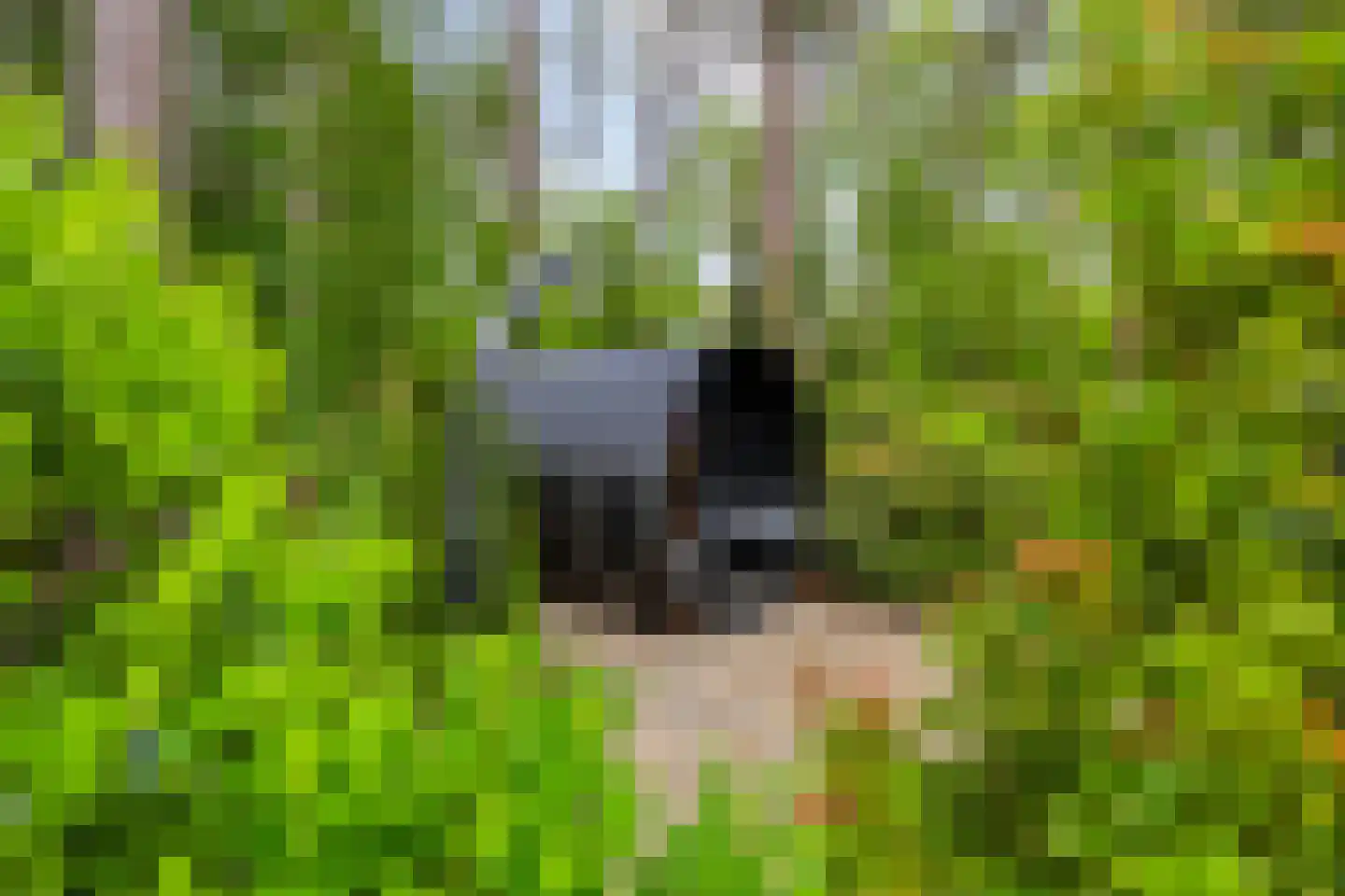 Vianenweg 253 Holten thumbnail 62