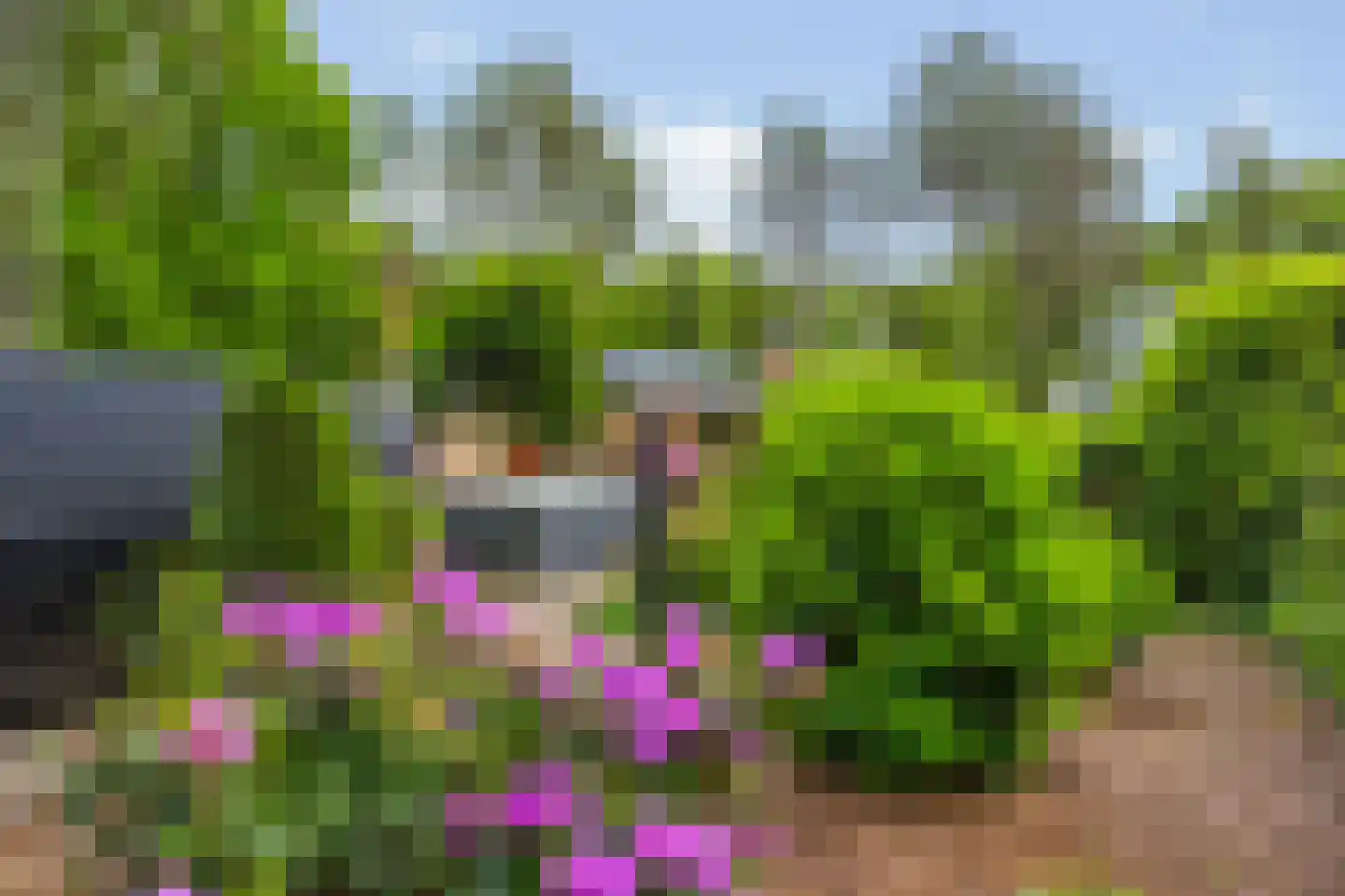 Vianenweg 253 Holten thumbnail 64