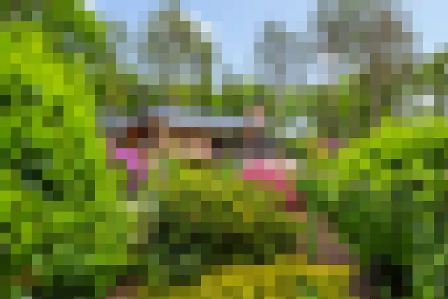 Vianenweg 253 Holten thumbnail 65
