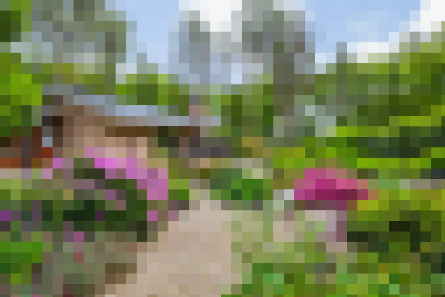 Vianenweg 253 Holten thumbnail 66