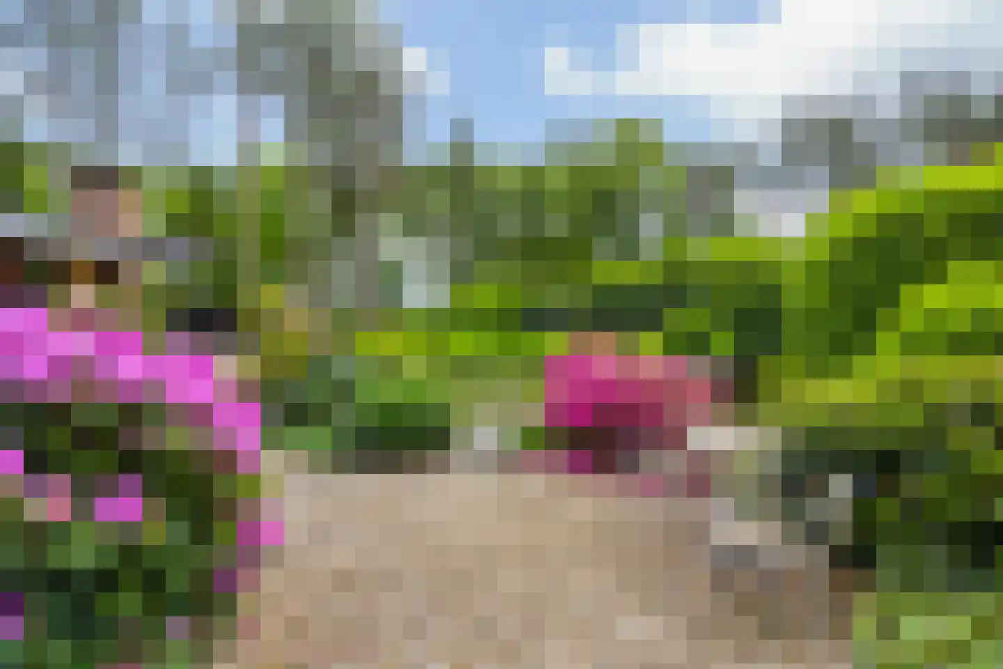 Vianenweg 253 Holten thumbnail 67