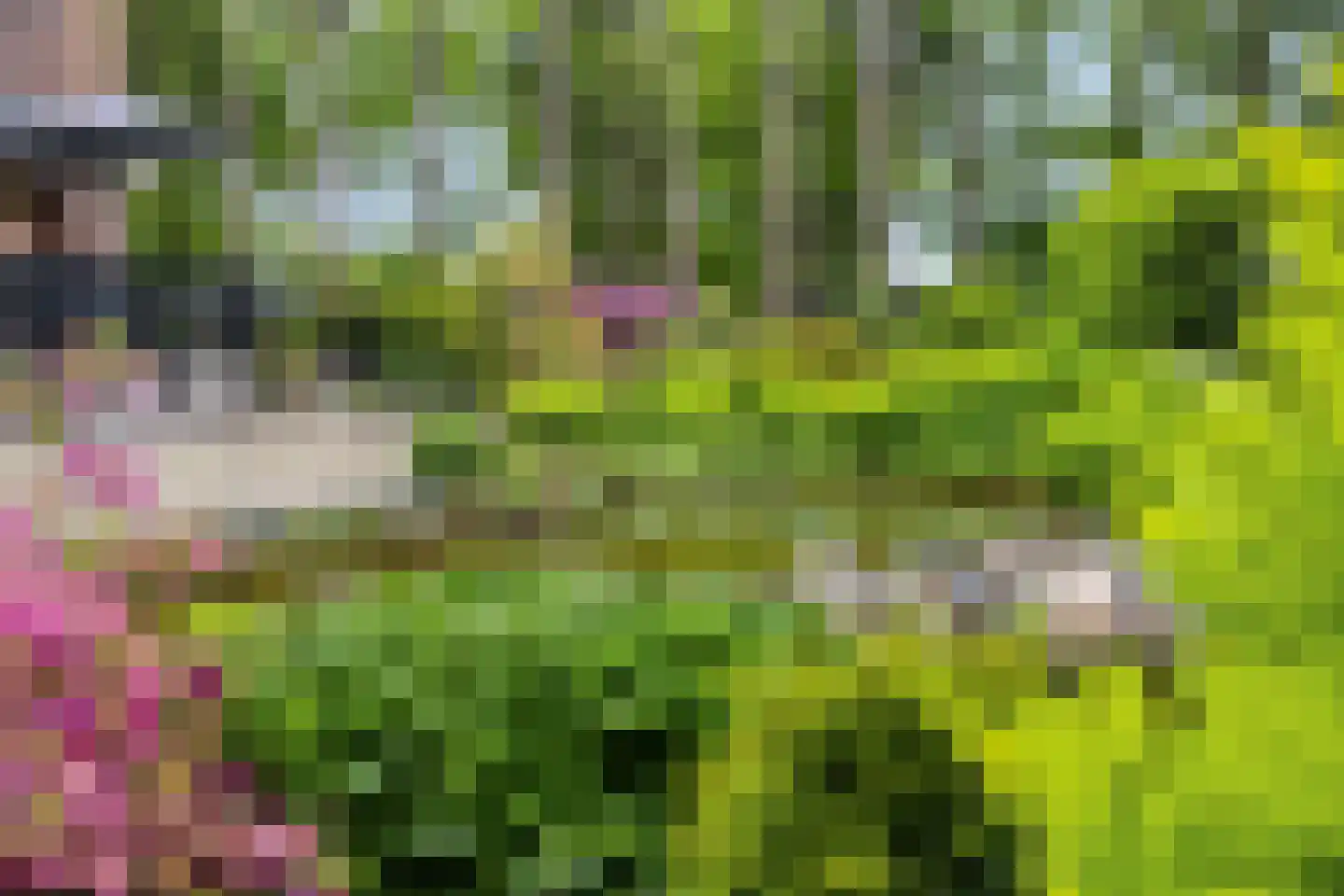 Vianenweg 253 Holten thumbnail 69