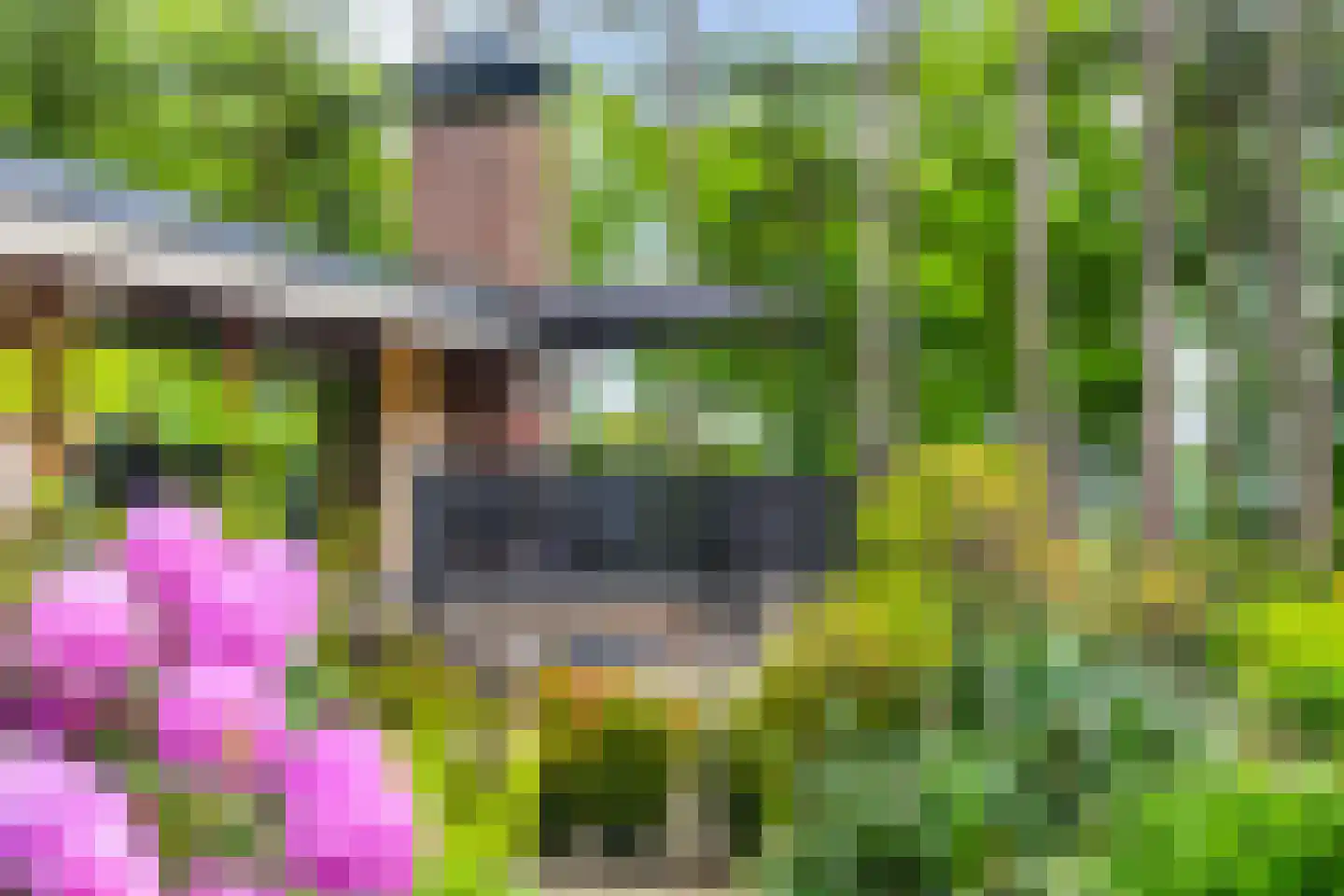 Vianenweg 253 Holten thumbnail 70