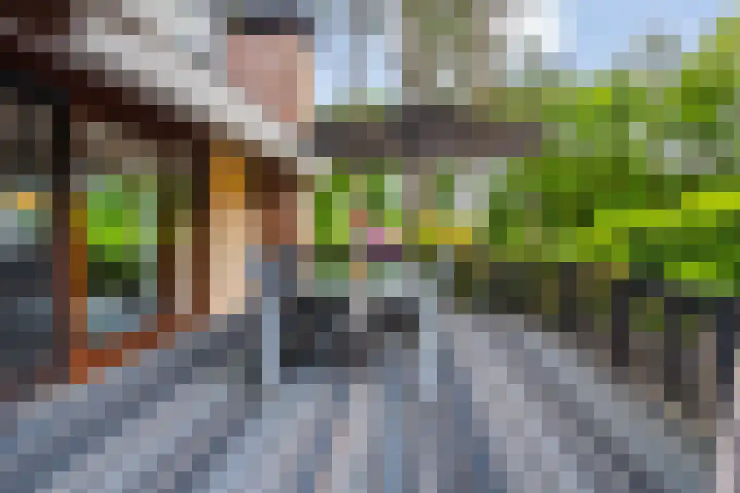 Vianenweg 253 Holten thumbnail 72
