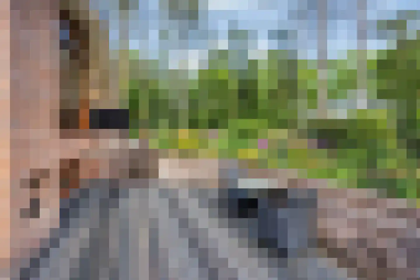 Vianenweg 253 Holten thumbnail 73