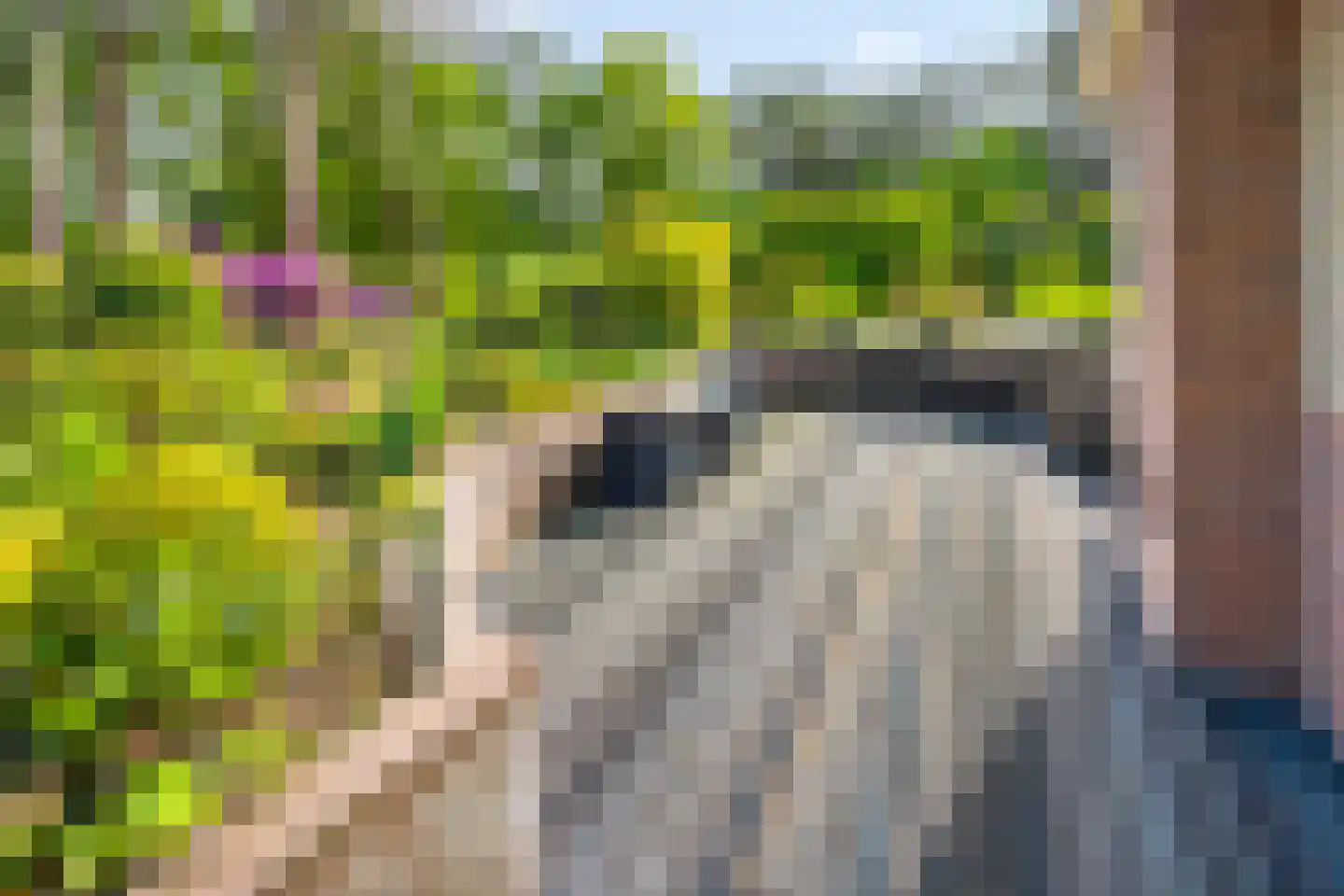 Vianenweg 253 Holten thumbnail 74