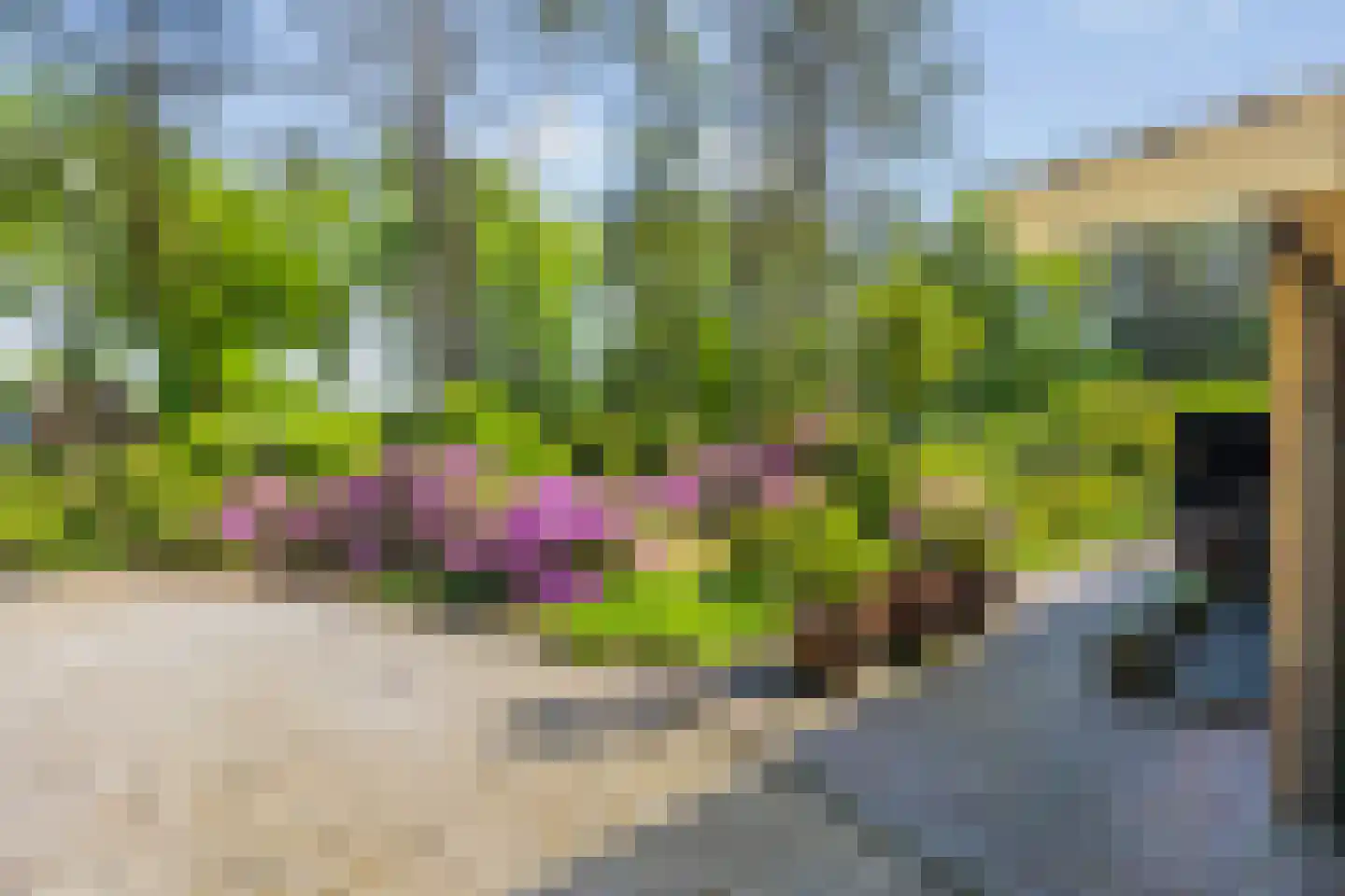 Vianenweg 253 Holten thumbnail 75