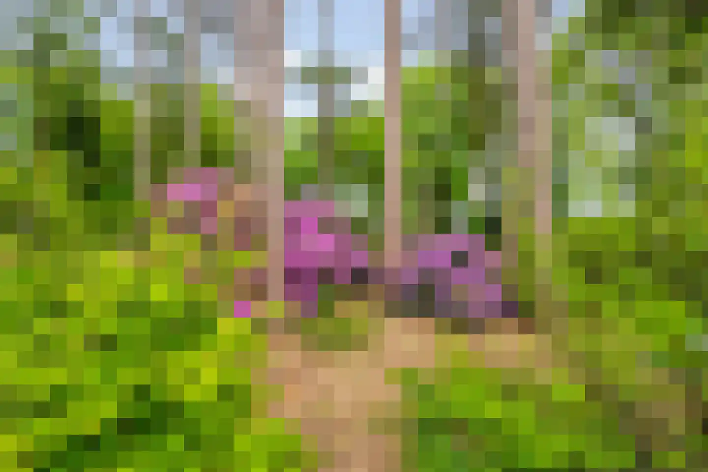 Vianenweg 253 Holten thumbnail 76