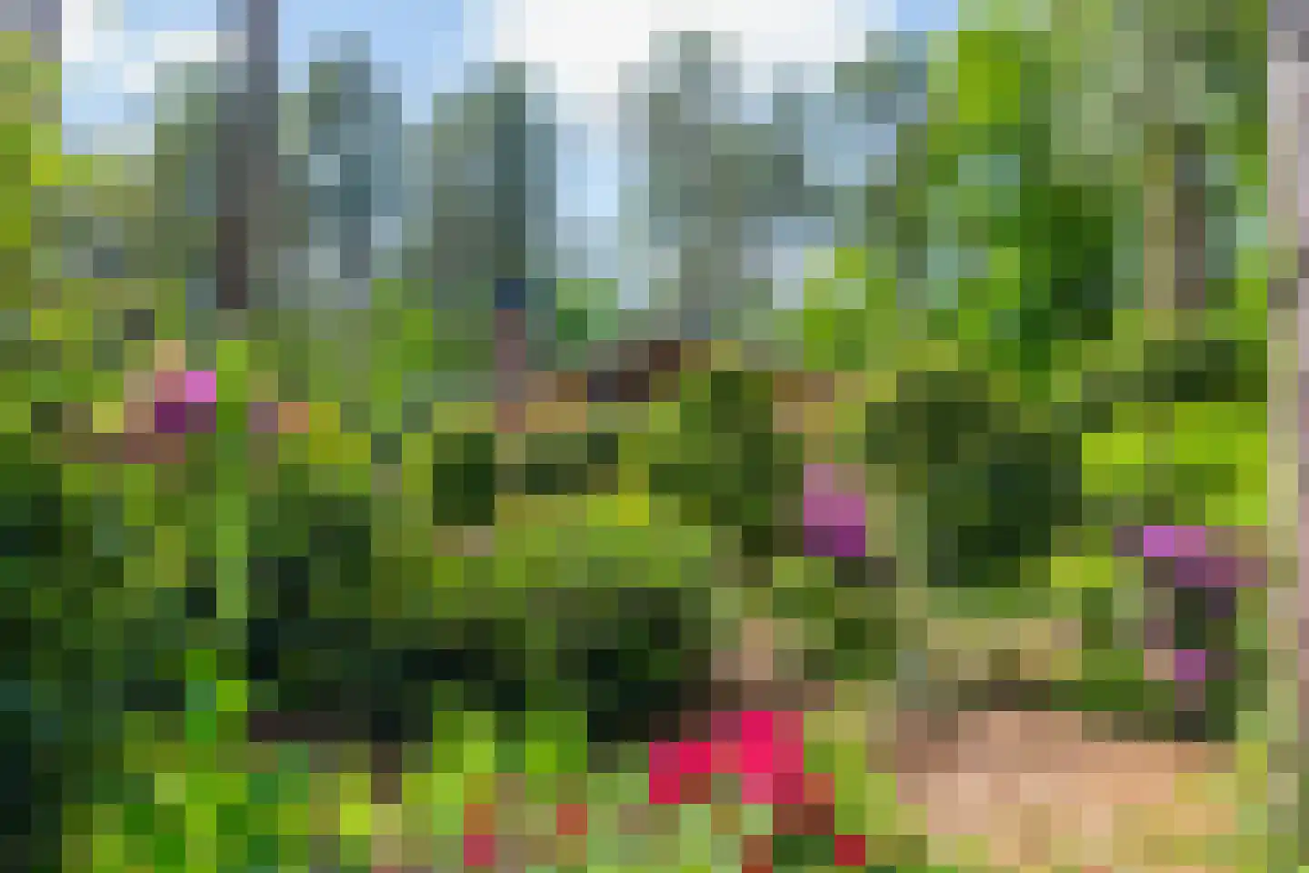 Vianenweg 253 Holten thumbnail 77