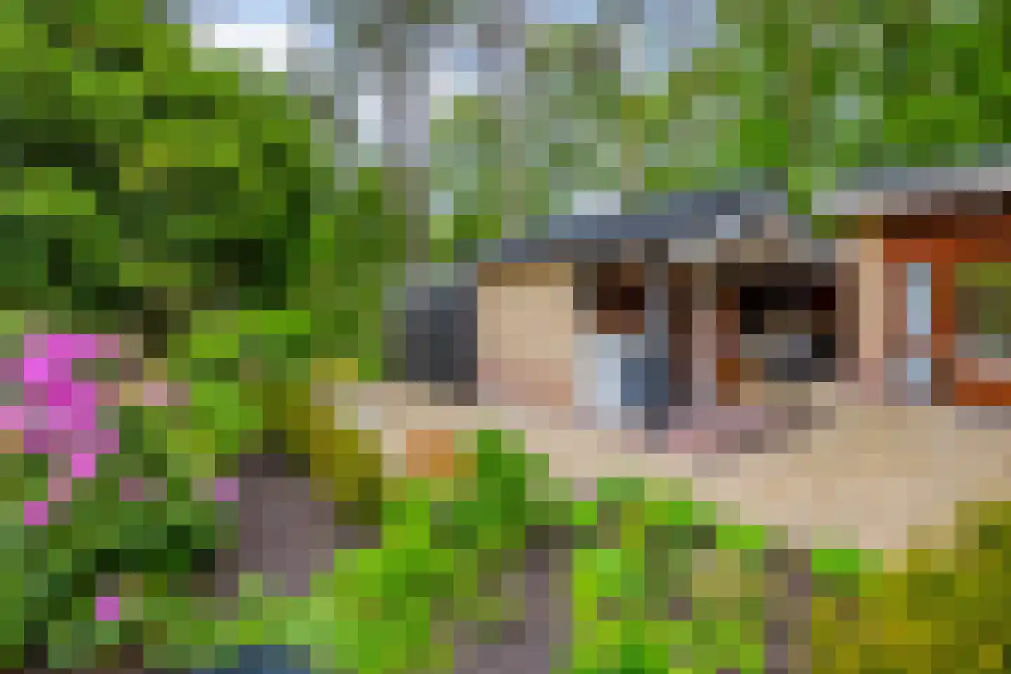 Vianenweg 253 Holten thumbnail 78