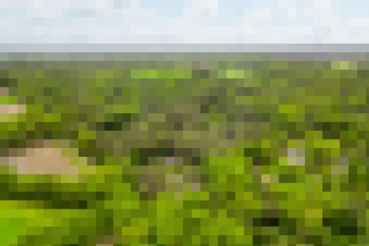 Vianenweg 253 Holten thumbnail 80