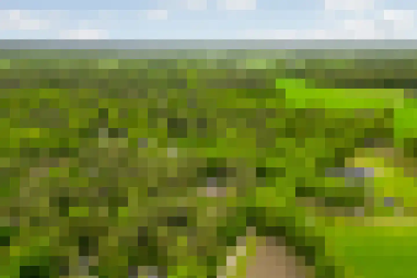 Vianenweg 253 Holten thumbnail 81