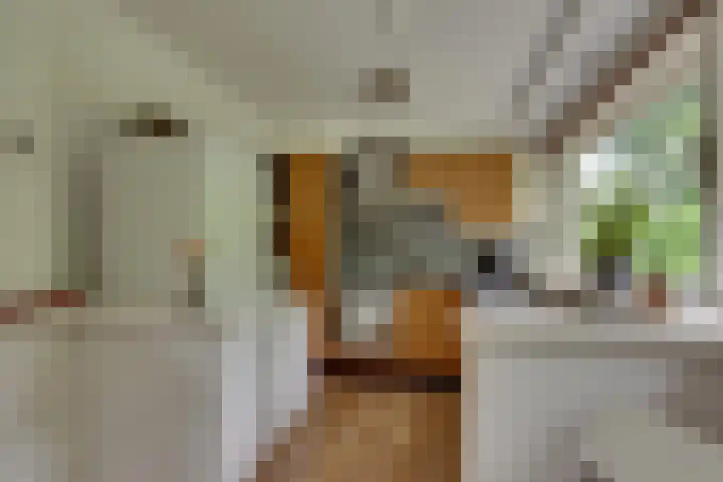 Vianenweg 50 Holten thumbnail 14