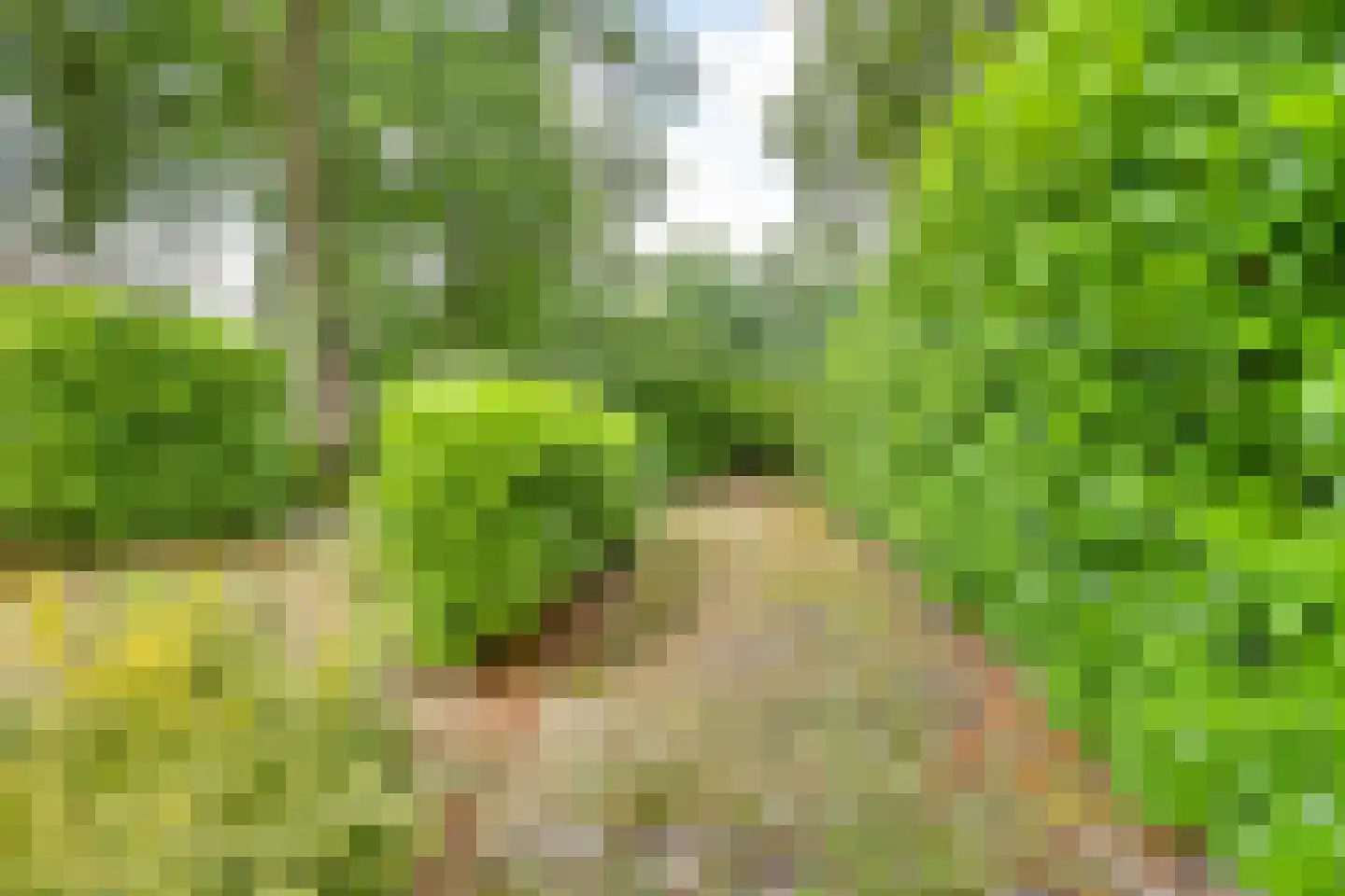 Vianenweg 50 Holten thumbnail 24