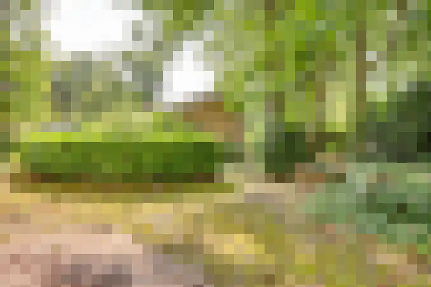 Vianenweg 50 Holten thumbnail 25