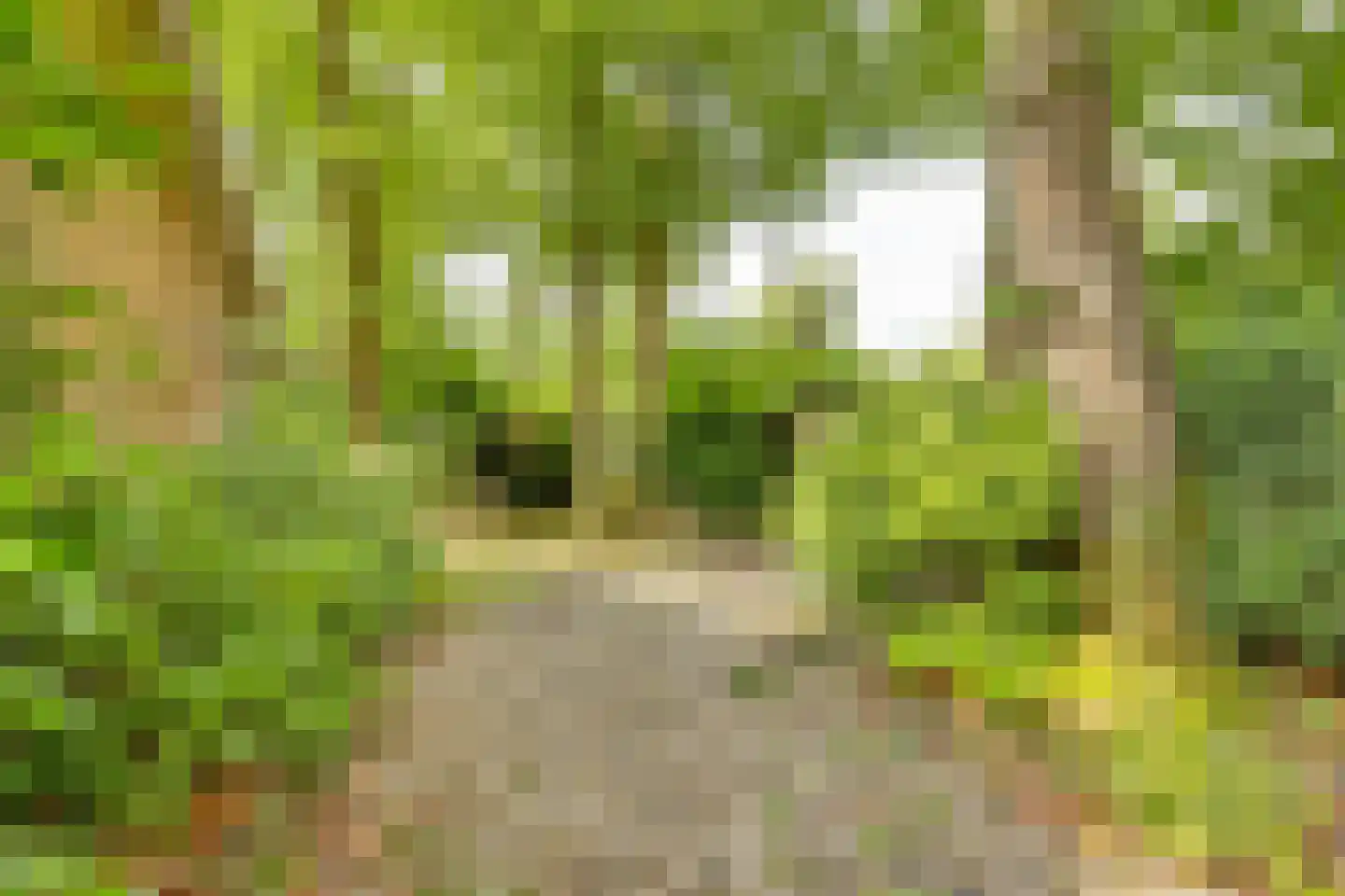 Vianenweg 50 Holten thumbnail 27