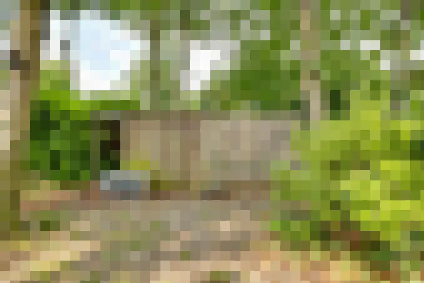 Vianenweg 50 Holten thumbnail 28