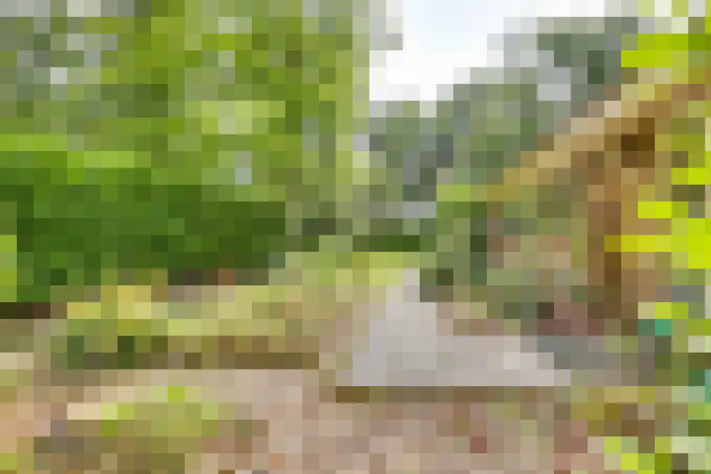 Vianenweg 50 Holten thumbnail 31