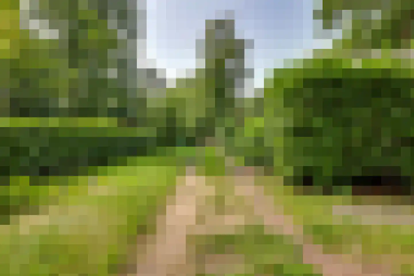 Vianenweg 50 Holten thumbnail 32