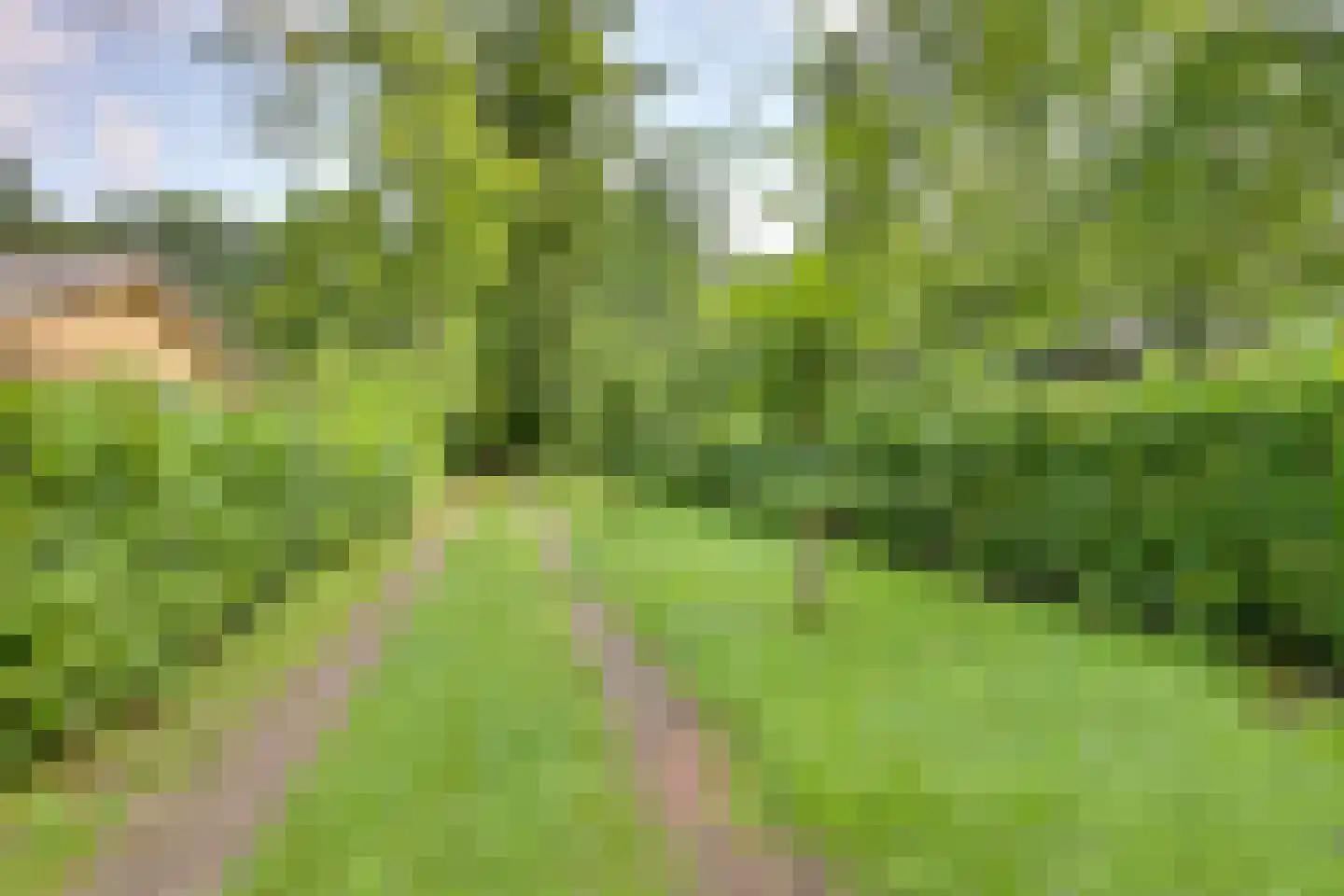 Vianenweg 50 Holten thumbnail 33