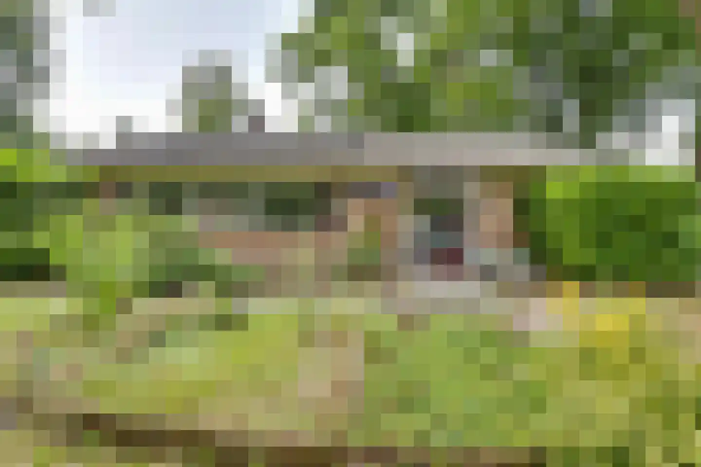 Vianenweg 50 Holten thumbnail 4